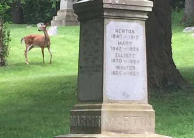 deer in the cemetery